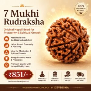 7 Mukhi Rudraksha Original Nepali Bead for Prosperity & Spiritual Growth